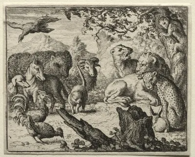 The Lions Court 2