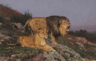 The Lions Domain