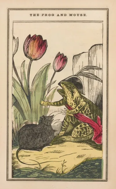 The Little Frog And Pretty Mouse Pl 5