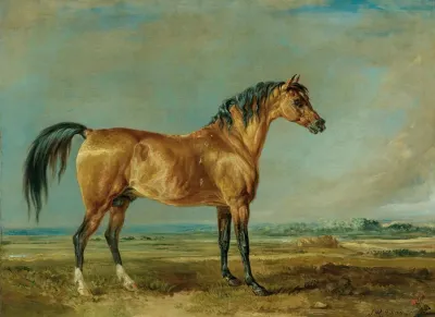 The Marquess Of Londonderrys Arabian Stallion In A Landscape