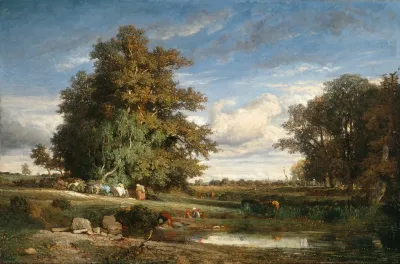 The Marsh 2