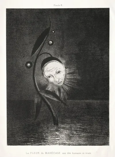 The Marsh Flower A Sad Human Head