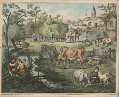 The Meadow 3