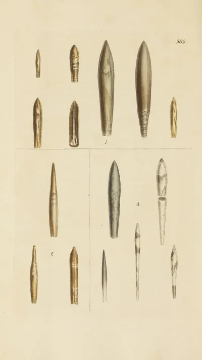The Mineral Conchology Of Great Britain Pl 377