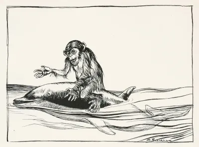 The Monkey And The Dolphin
