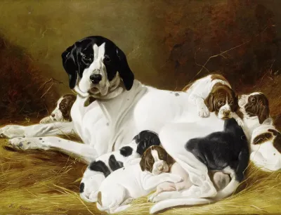 The New Litter