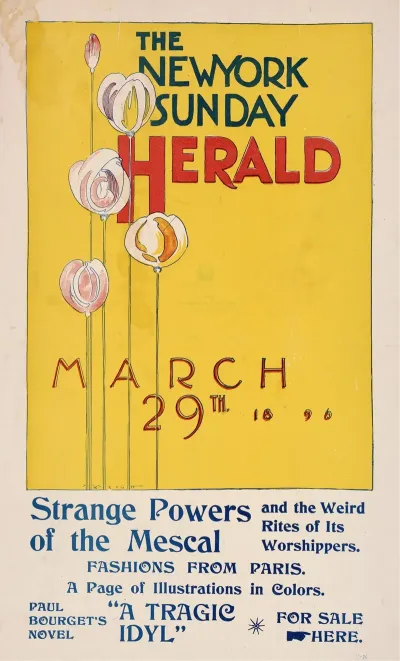 The New York Sunday Herald March 29th 1896