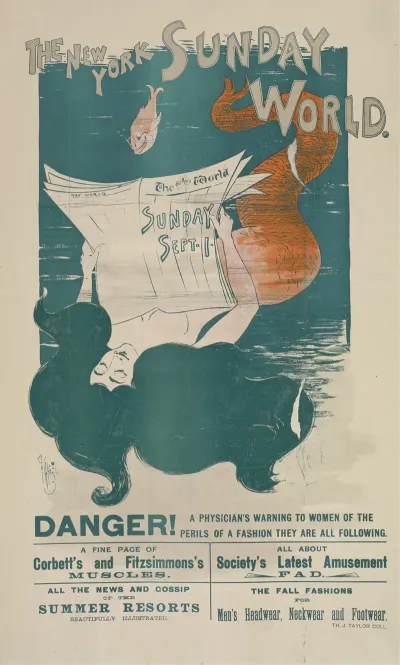 The New York Sunday World Sunday Sept 1 1895