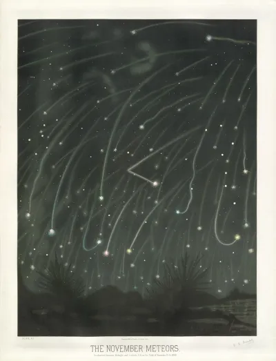 The November Meteors
