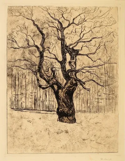 The Oak 2