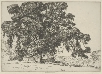 The Oak And The Adobe