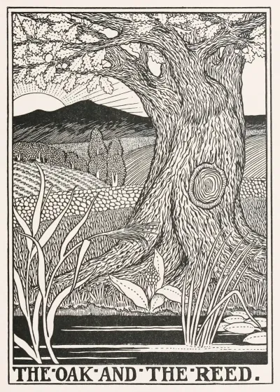 The Oak And The Reed