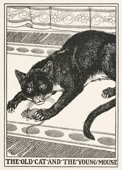 The Old Cat And The Young Mouse