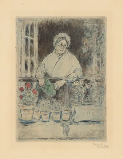The Old Ladys Garden
