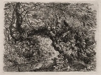 The Old Willow At A Brook