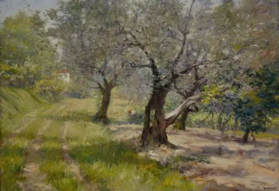The Olive Grove 2