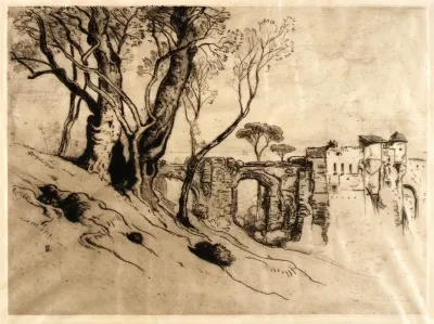 The Olive Trees Of The Riviera