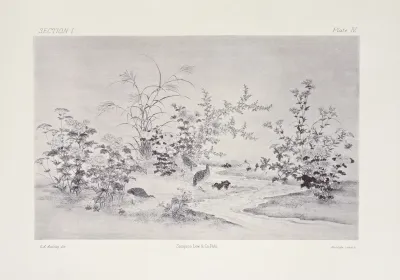 The Ornamental Arts Of Japan Pl 010