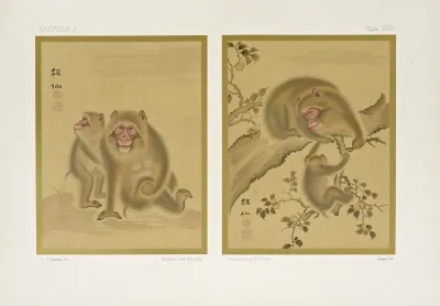The Ornamental Arts Of Japan Pl 014