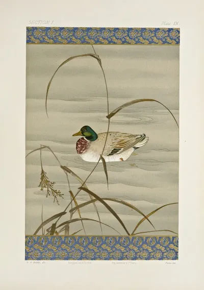 The Ornamental Arts Of Japan Pl 015