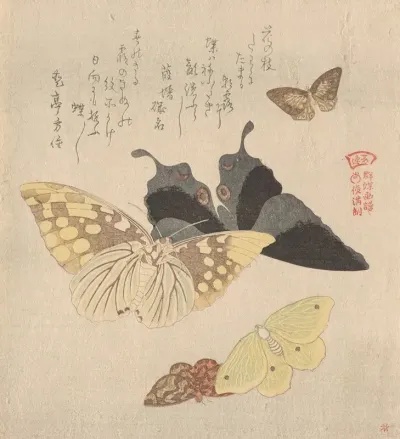 The Painting Manual Of Flock Of Butterflies Guncho Gafu 4