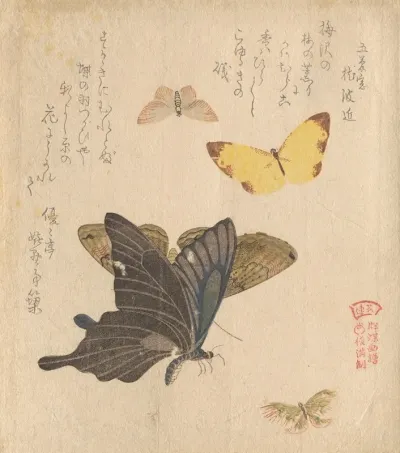 The Painting Manual Of Flock Of Butterflies Guncho Gafu 5