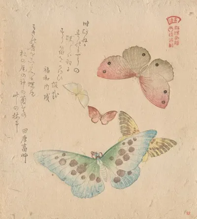 The Painting Manual Of Flock Of Butterflies Guncho Gafu