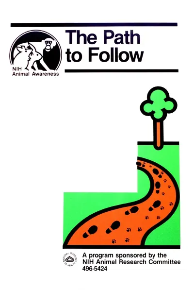 The Path To Follow