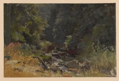 The Pelcznica Stream