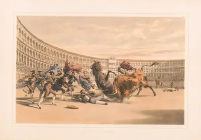 The Picador In Danger