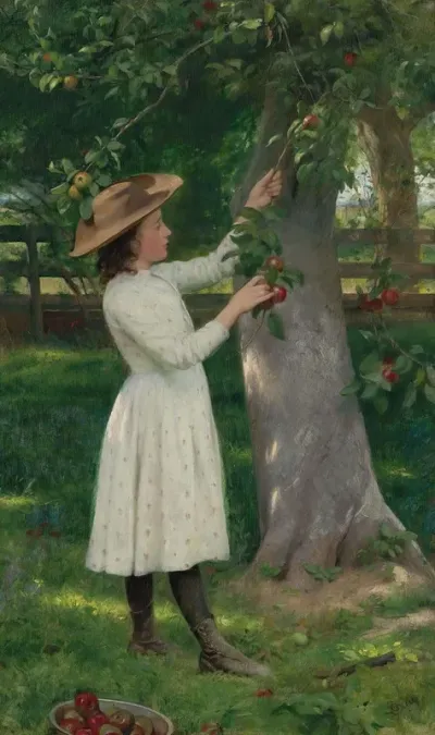 The Pick Of The Orchard Picking Apples