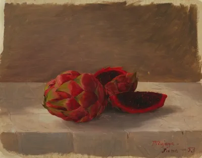 The Pitajaya Fruit Columbia