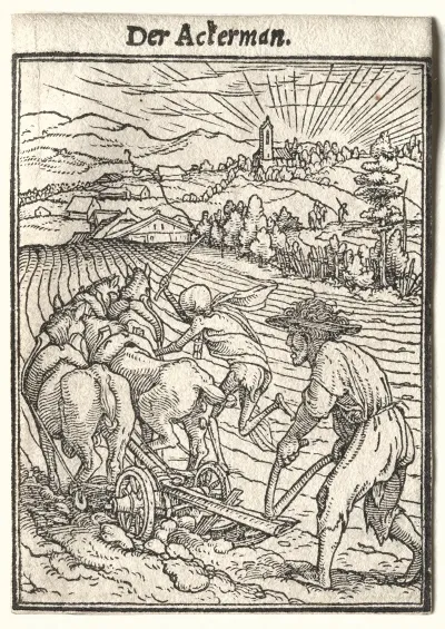 The Ploughman 4