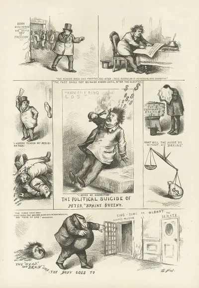 The Political Suicide Of Peter Brains Sweeny