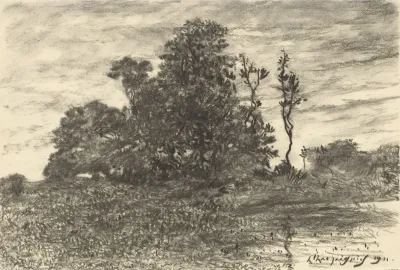 The Pond At Les Luneaux Allier