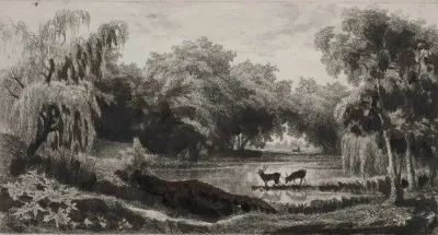 The Pool With Stags