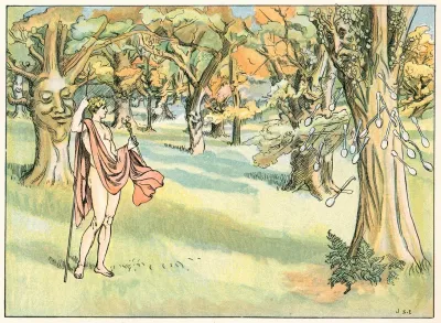 The Poplar Tree