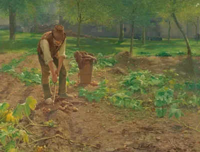 The Potato Harvest 4