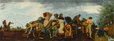 The Potato Harvest In The Fens