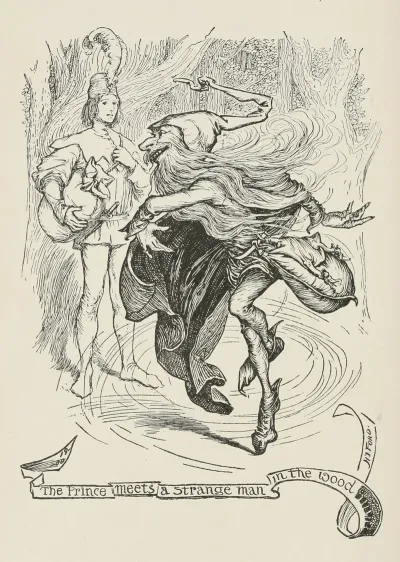 The Prince Meets A Strange Man In The Wood