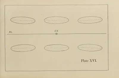 The Principles Of Perspective As Applied To Model Drawing Sketching From Nature Pl 16