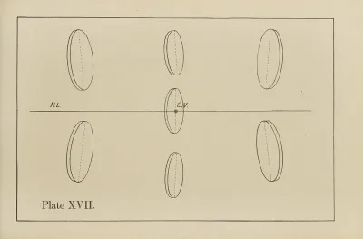 The Principles Of Perspective As Applied To Model Drawing Sketching From Nature Pl 17