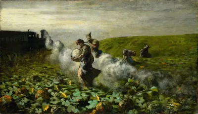The Pumpkin Harvest