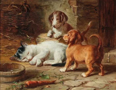 The Puppies Are Awake