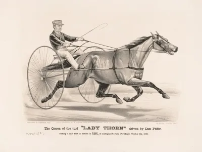 The Queen Of The Turf Lady Thorn Driven By Dan Pfifer
