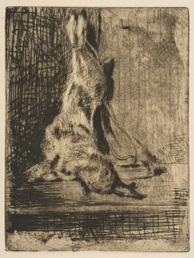 The Rabbit