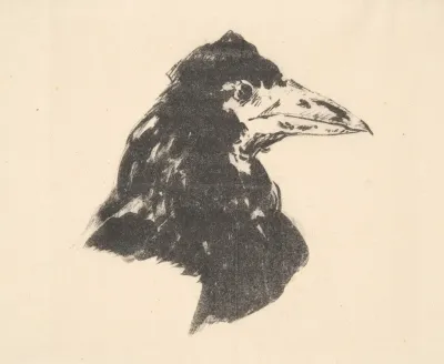 The Raven Le Corbeau Design For The Cover