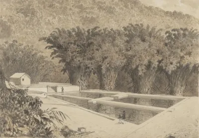 The Reservoir At Maraval