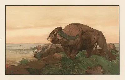 The Return Of The Buffalo Herd 2