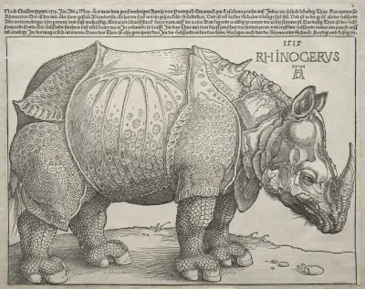 The Rhinoceros 2